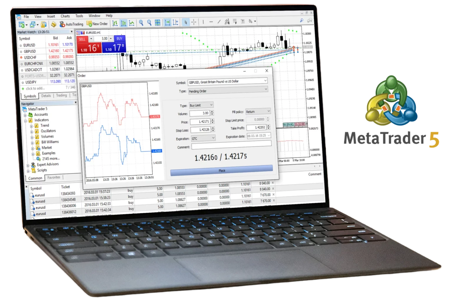 Exness MT5 Web Terminal