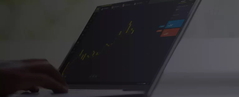 Exness Educational Resources for Egyptian Traders